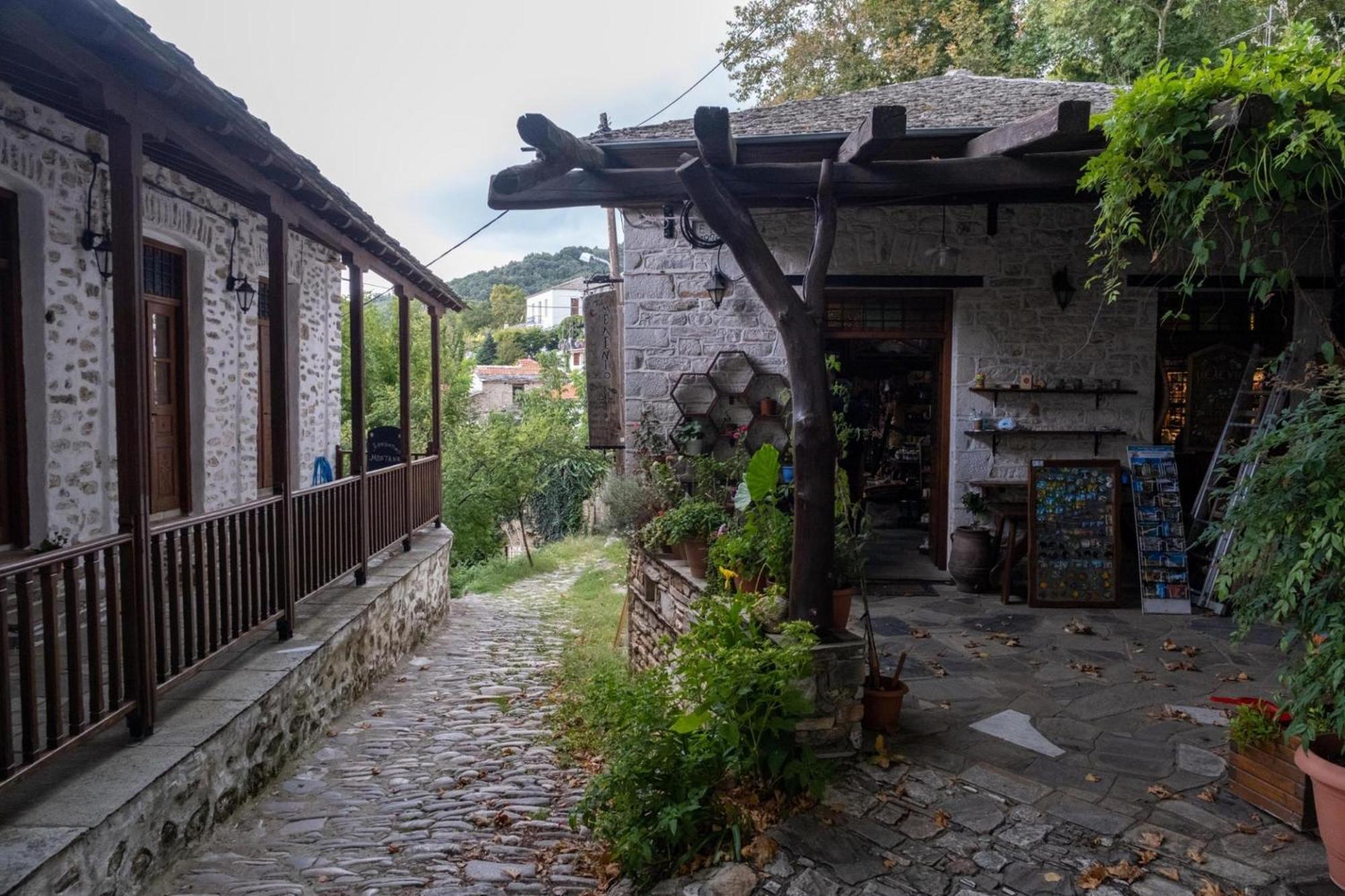 Archontiko Michael Pelion Apart otel Vyzítsa Dış mekan fotoğraf