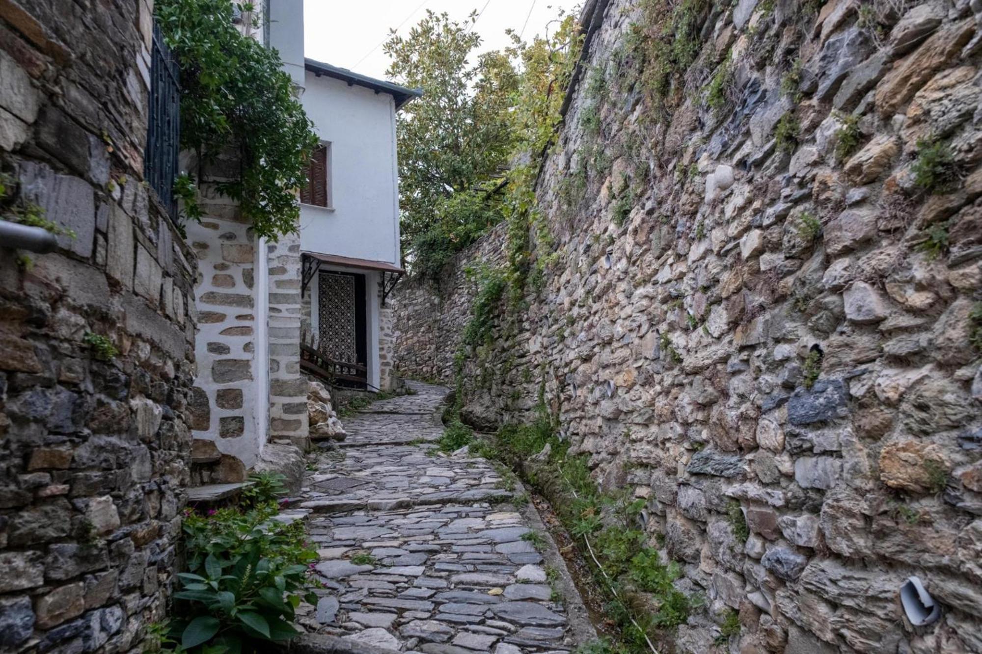 Archontiko Michael Pelion Apart otel Vyzítsa Dış mekan fotoğraf