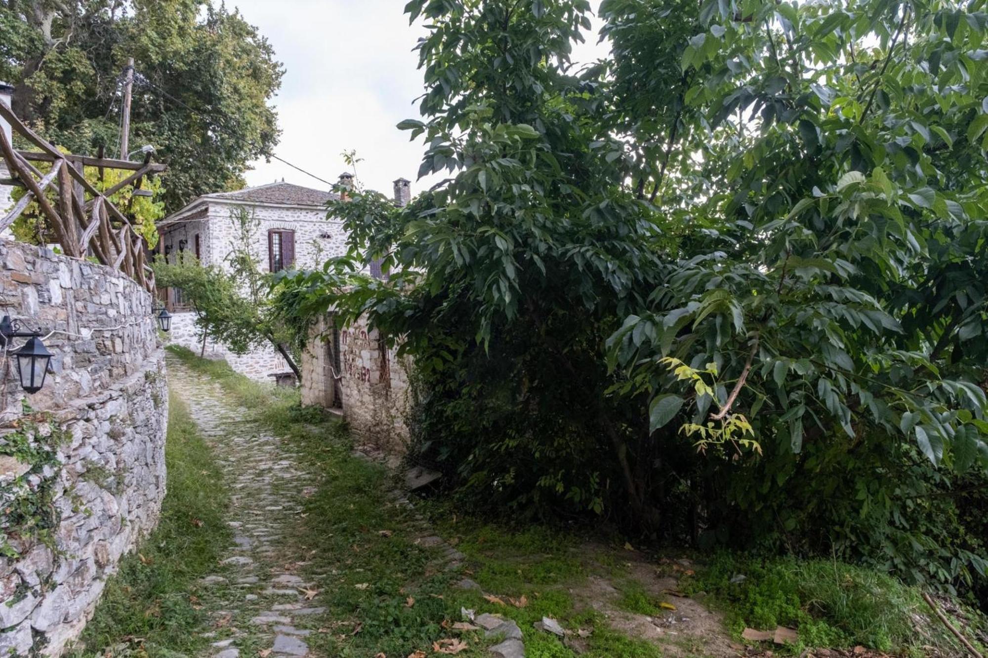 Archontiko Michael Pelion Apart otel Vyzítsa Dış mekan fotoğraf
