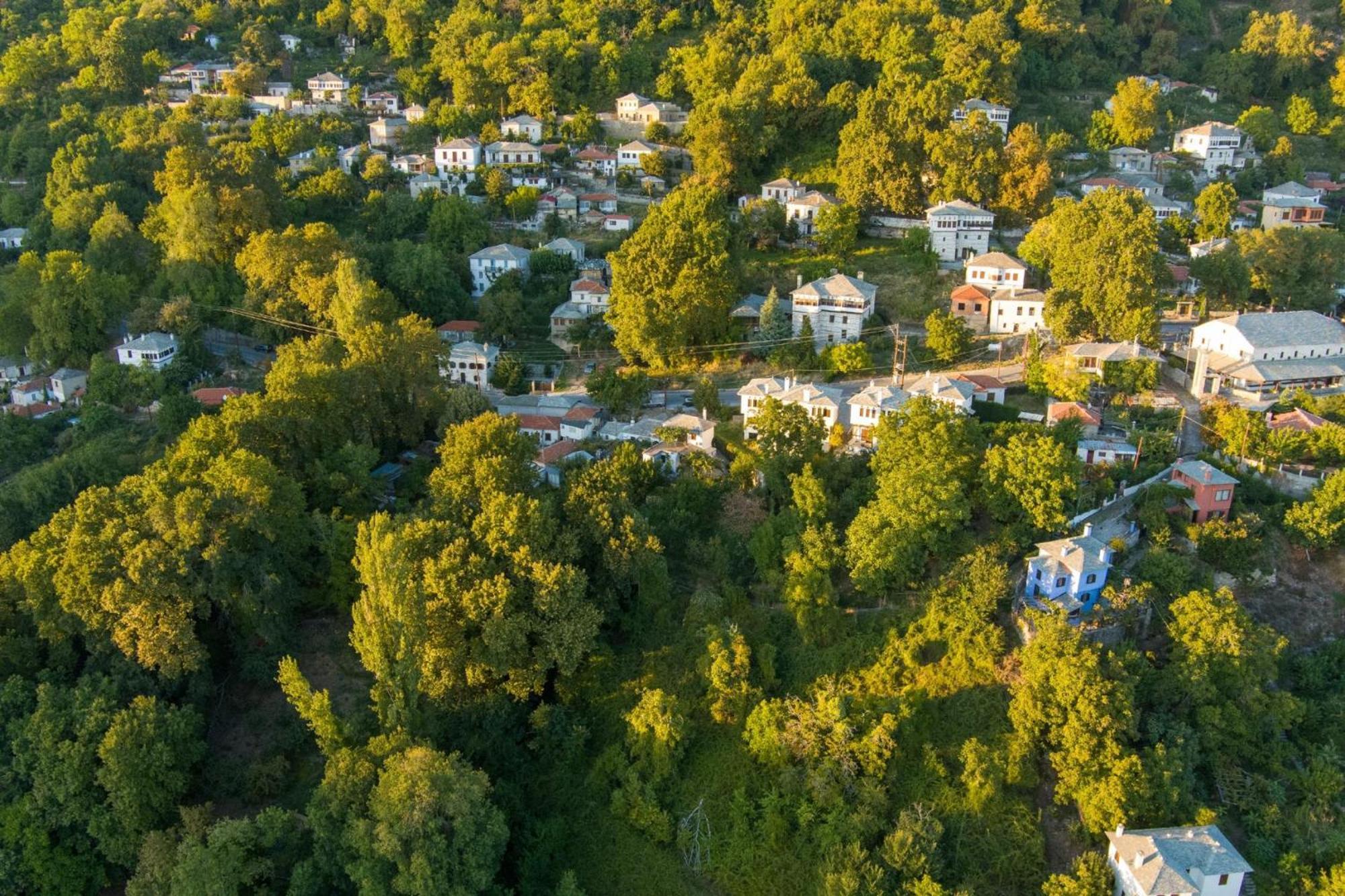 Archontiko Michael Pelion Apart otel Vyzítsa Dış mekan fotoğraf