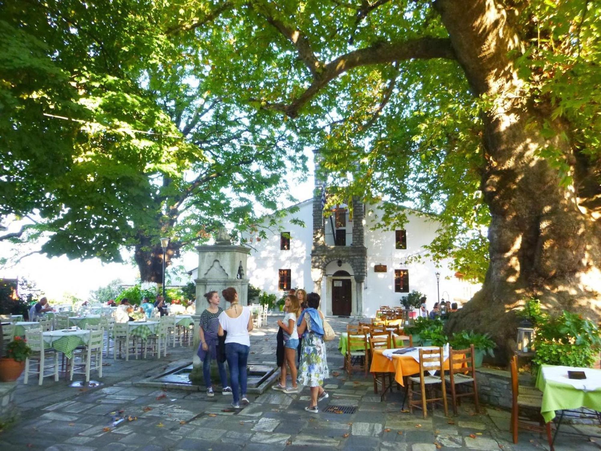 Archontiko Michael Pelion Apart otel Vyzítsa Dış mekan fotoğraf