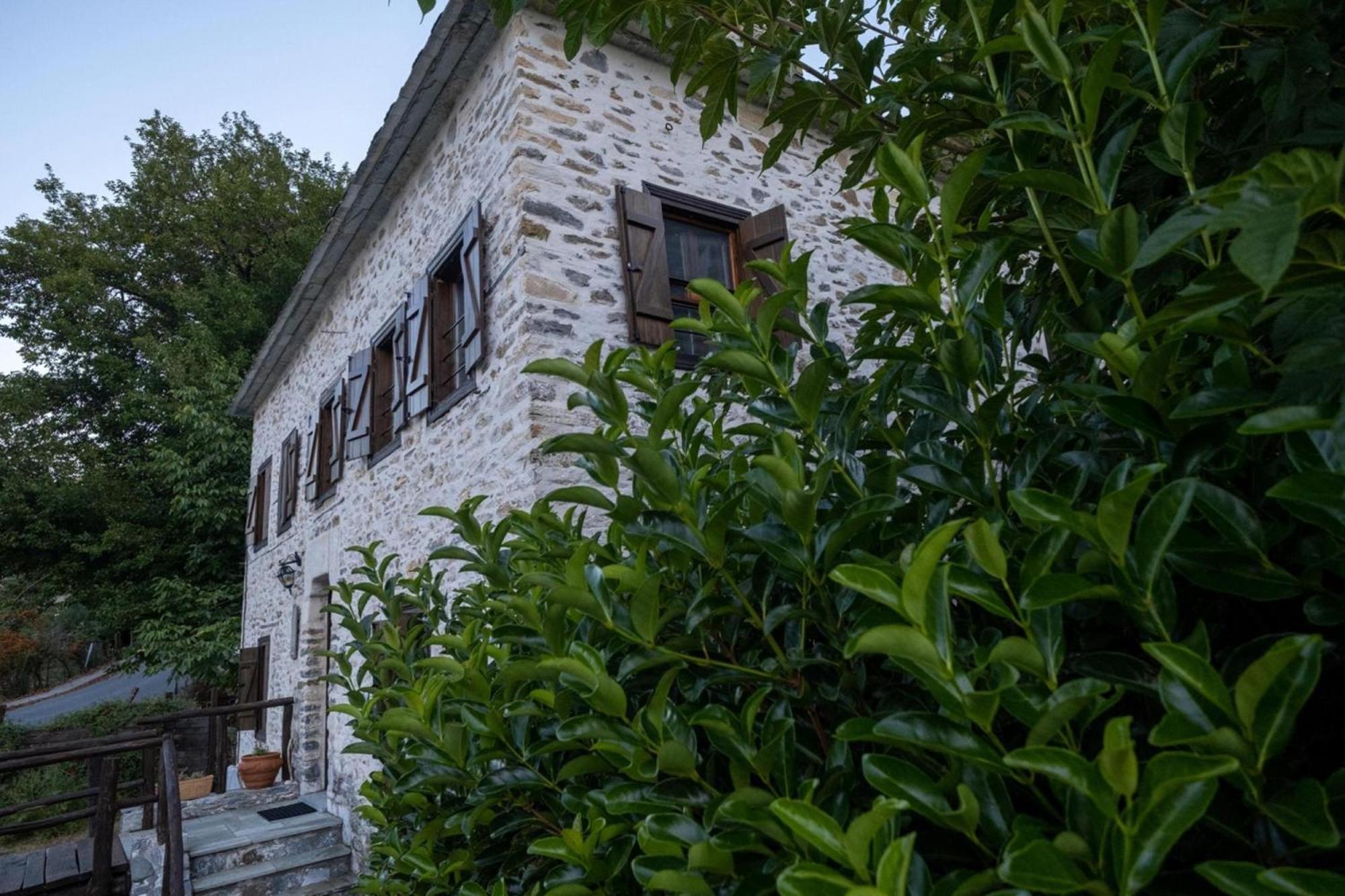Archontiko Michael Pelion Apart otel Vyzítsa Dış mekan fotoğraf